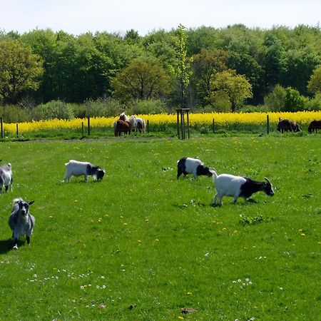 Ferienwohnungen Auf Dem Ferienhof Sell Stoltebull Exterior photo